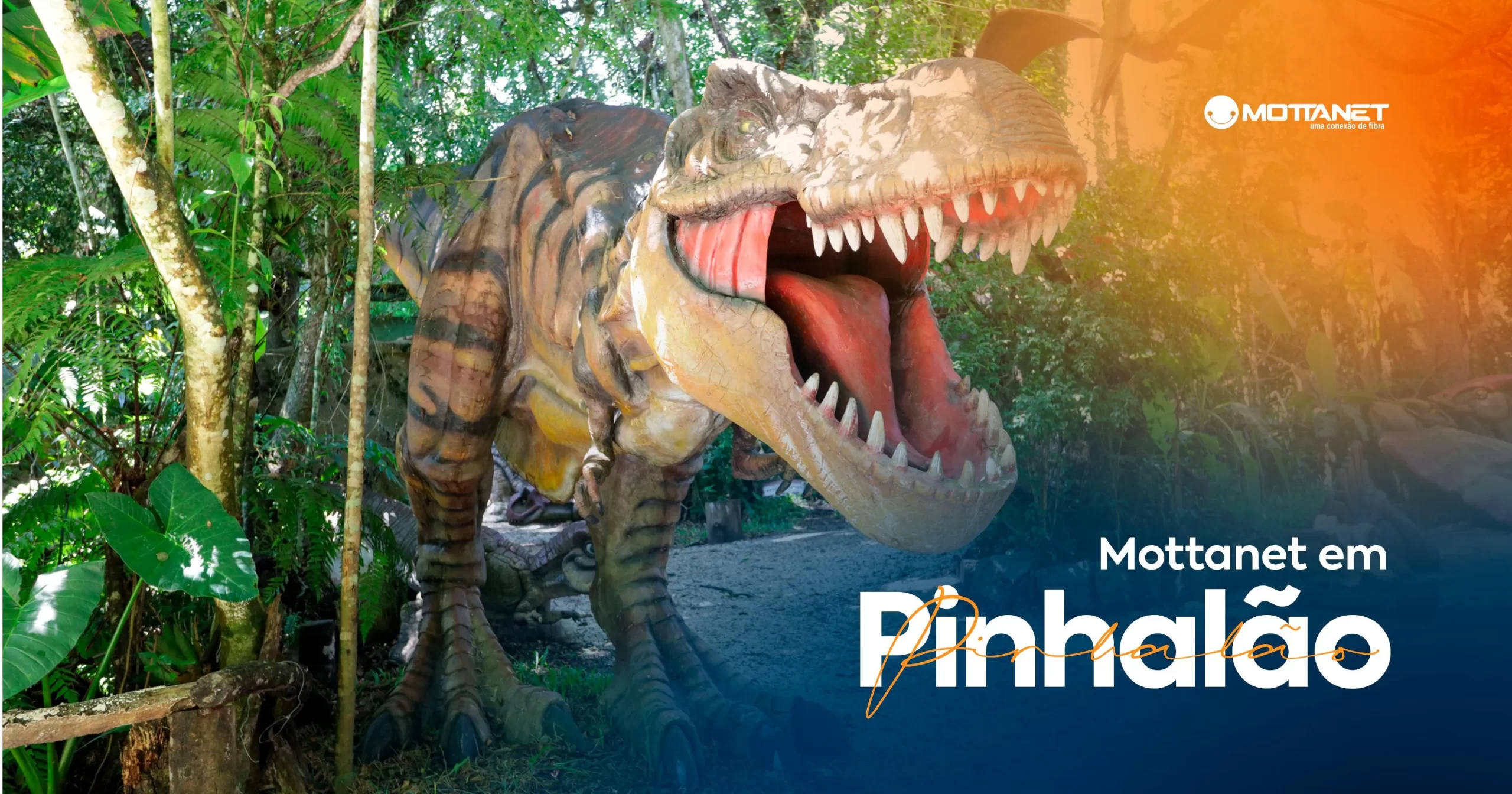 Mottanet em Pinhalão internet de fibra